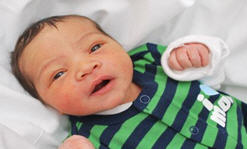 LeviEllis Levi