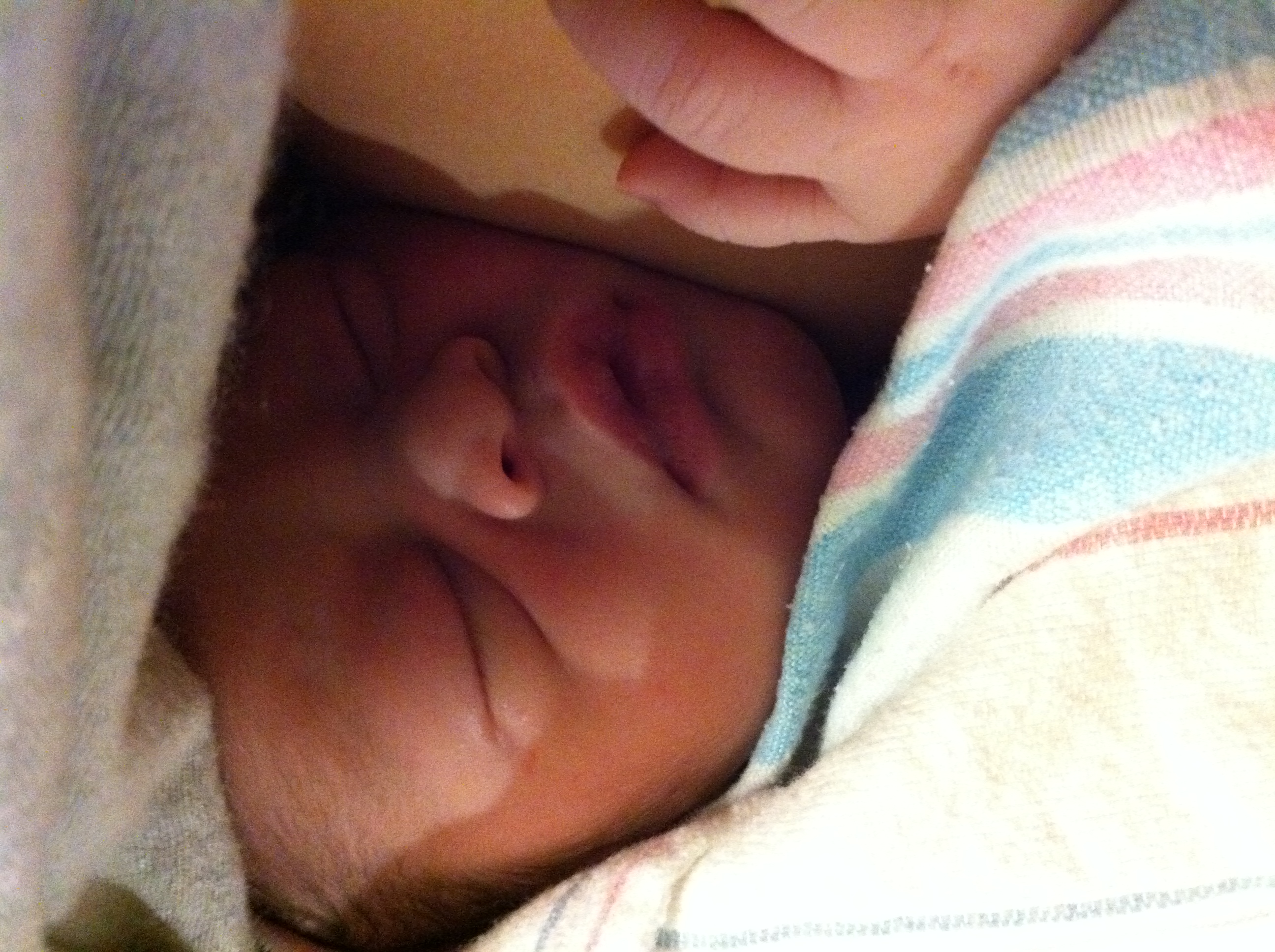 LillyTezza